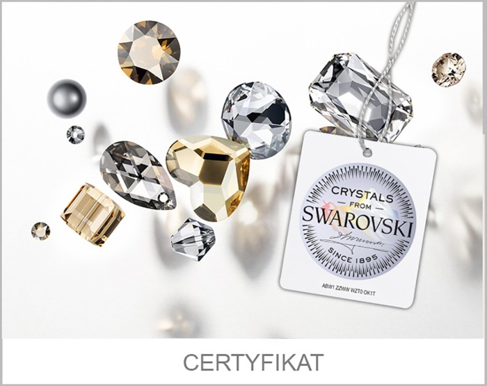 certyfikat_spark.jpg