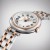 tissot_bellissima_T126.010.22.013.01_BIA1.jpg