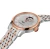 T006.407.22.033.02_3.webp