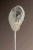 ISIMG-762608.webp